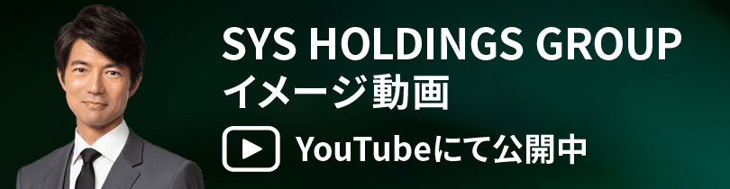 SYS HOLDINGS GROUP